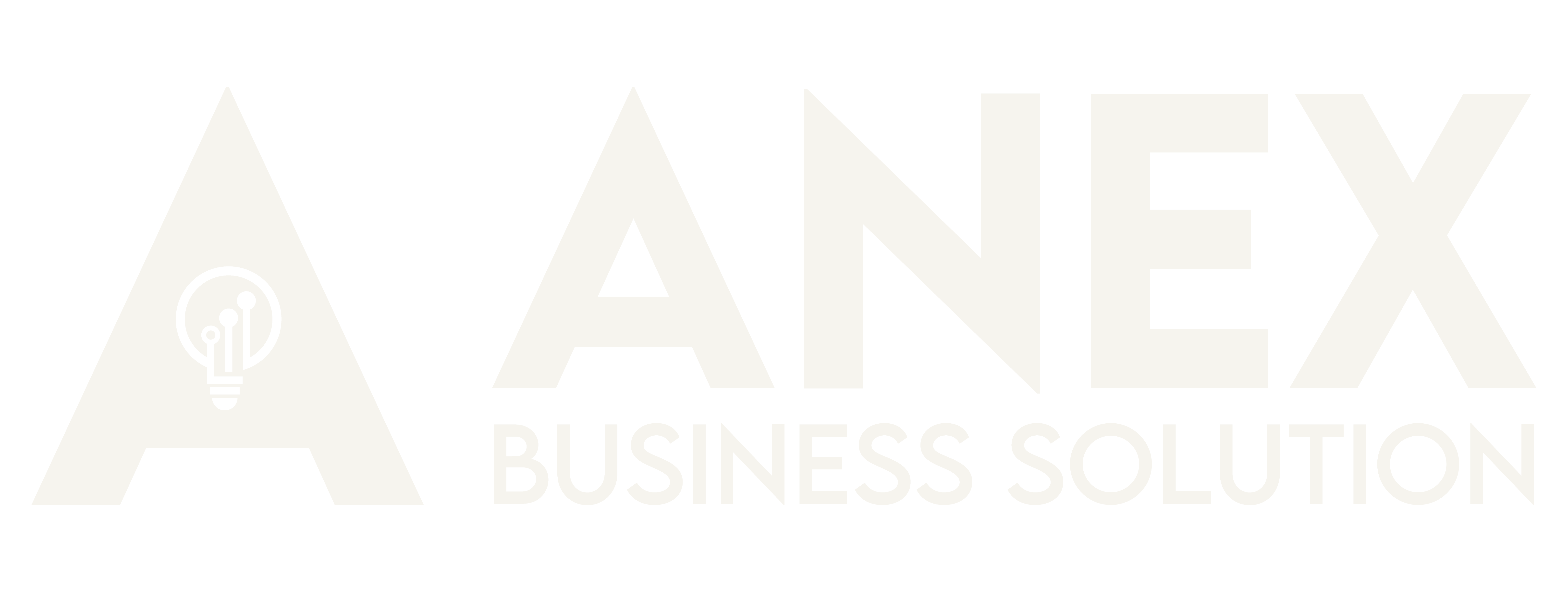 ANEX Business Solution
